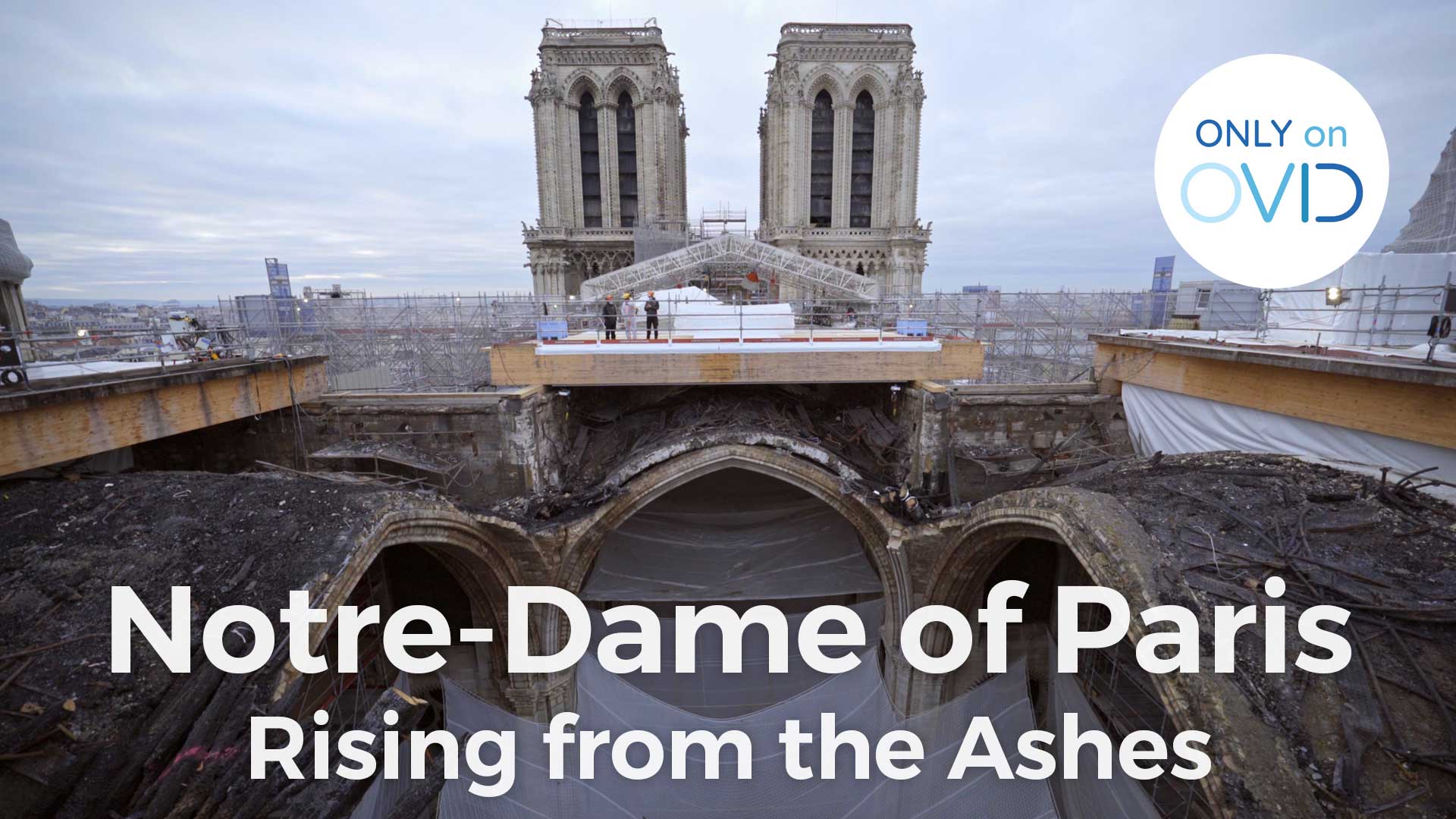 Notre-Dame of Paris, Rising from the Ashes