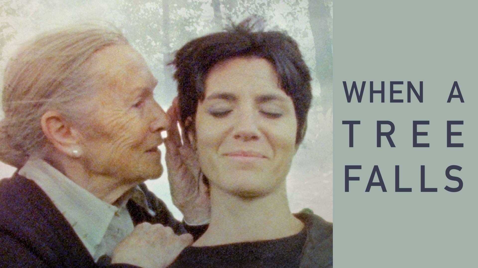 When a Tree Falls (Amama)