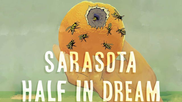 Sarasota Half In Dream
