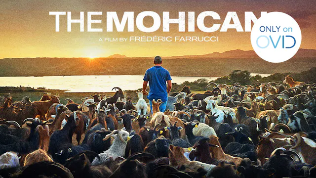 The Mohican Trailer