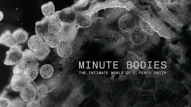 Minute Bodies: The Intimate World Of F. Percy Smith