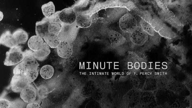 Minute Bodies: The Intimate World Of ...