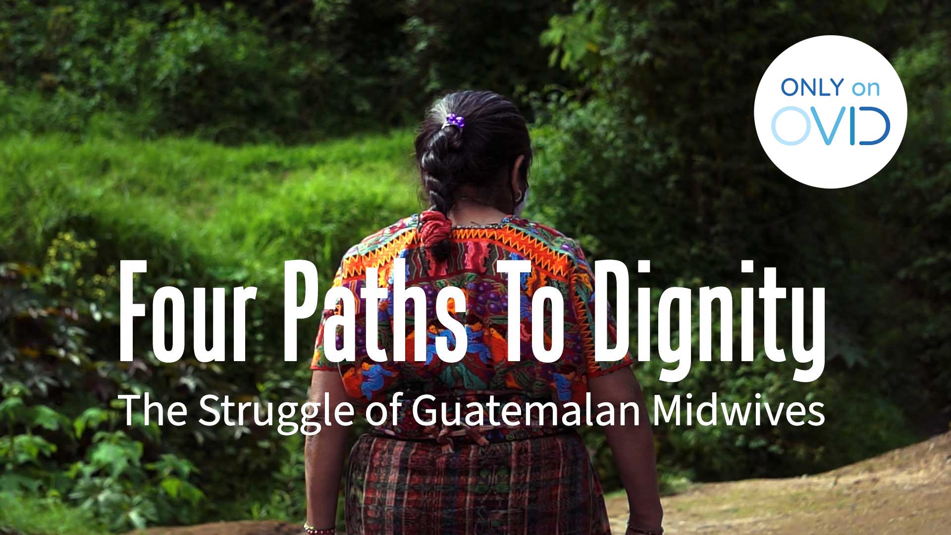 Four Paths to Dignity