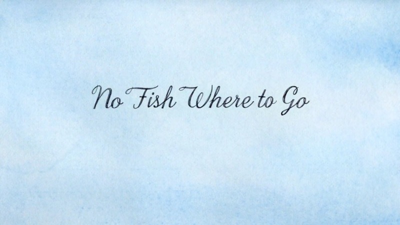 No Fish Where to Go