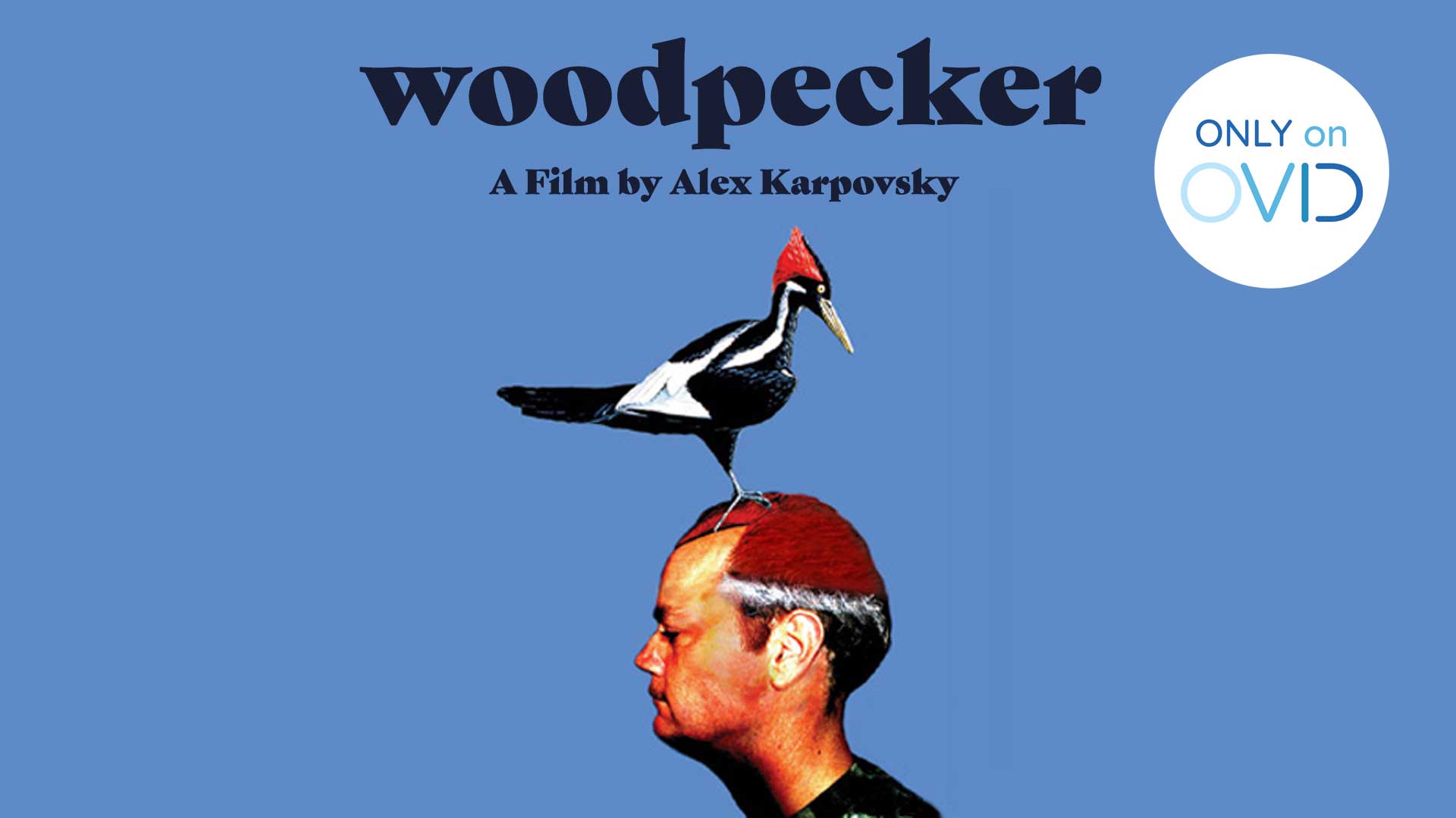 Woodpecker