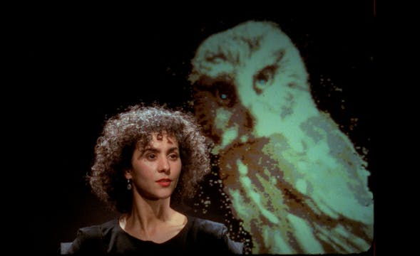 The Owl's Legacy: Olympics, or Imagin...