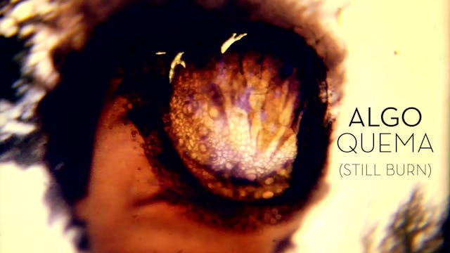 Still Burn (Algo quema)