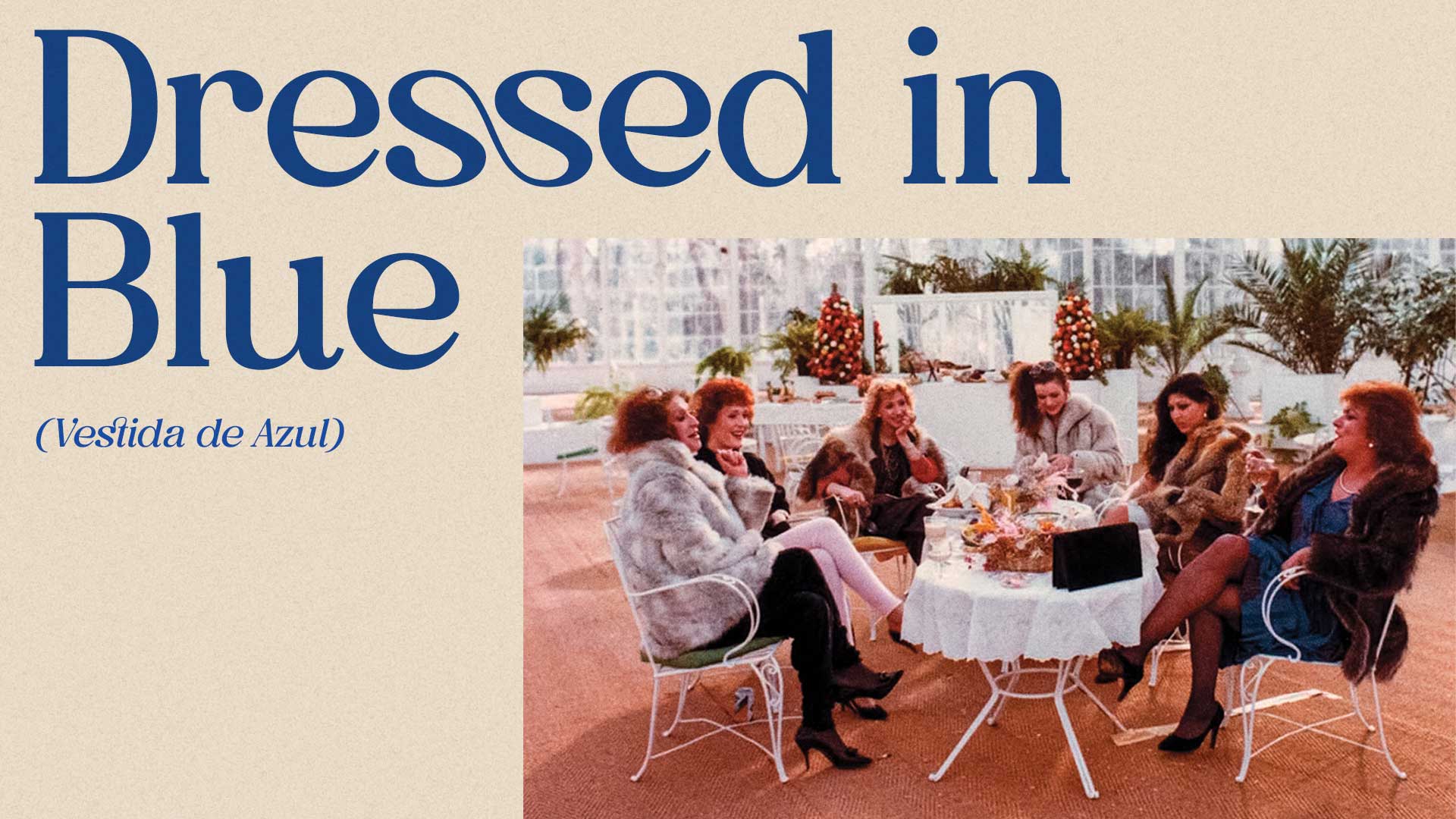 Dressed in Blue (Vestida de Azul)