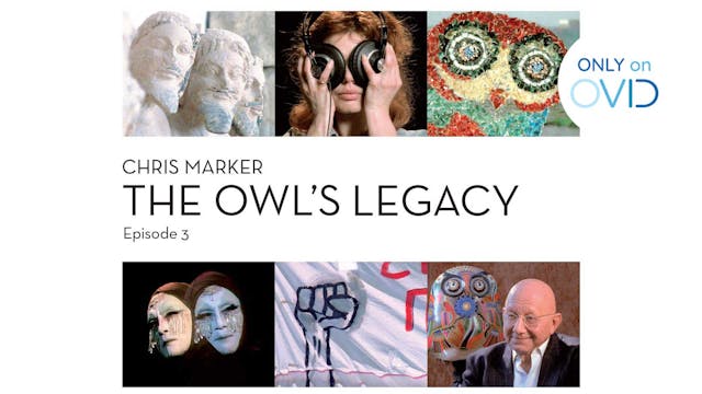 The Owl's Legacy: Democracy, or City ...