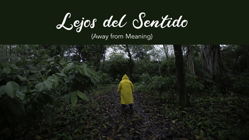 Away from Meaning (Lejos del sentido)