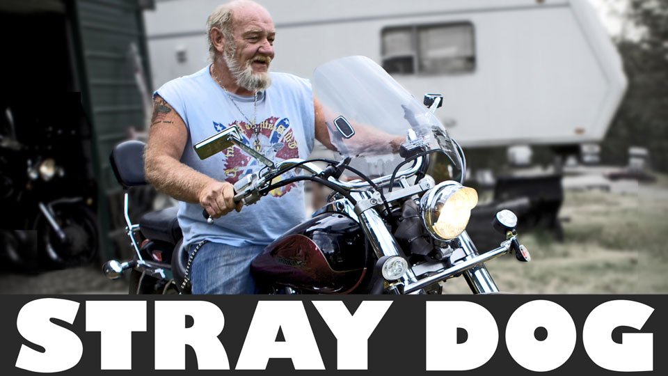 Stray Dog (Debra Granik)