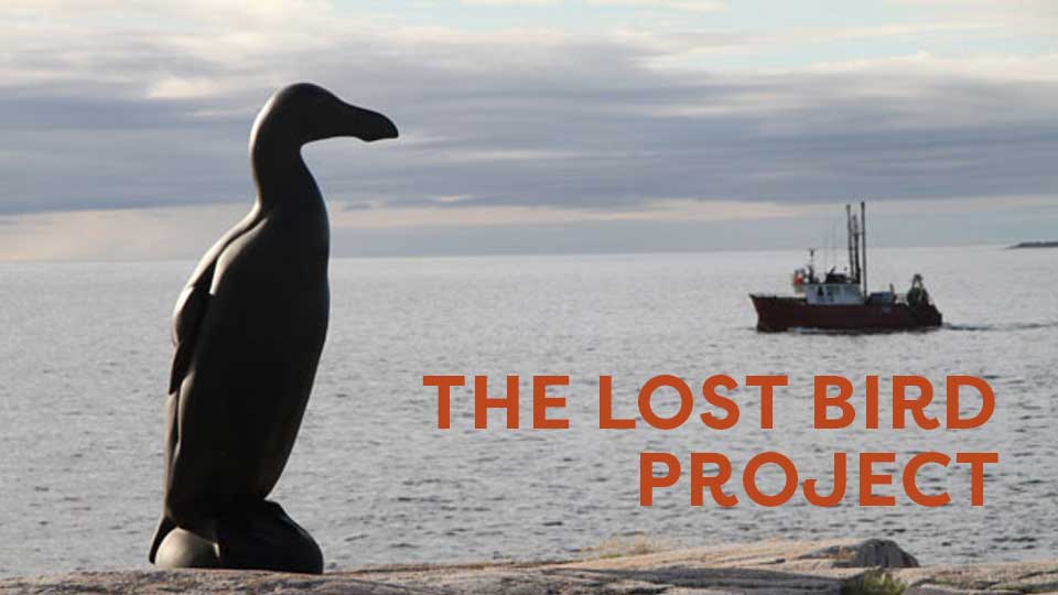 The Lost Bird Project