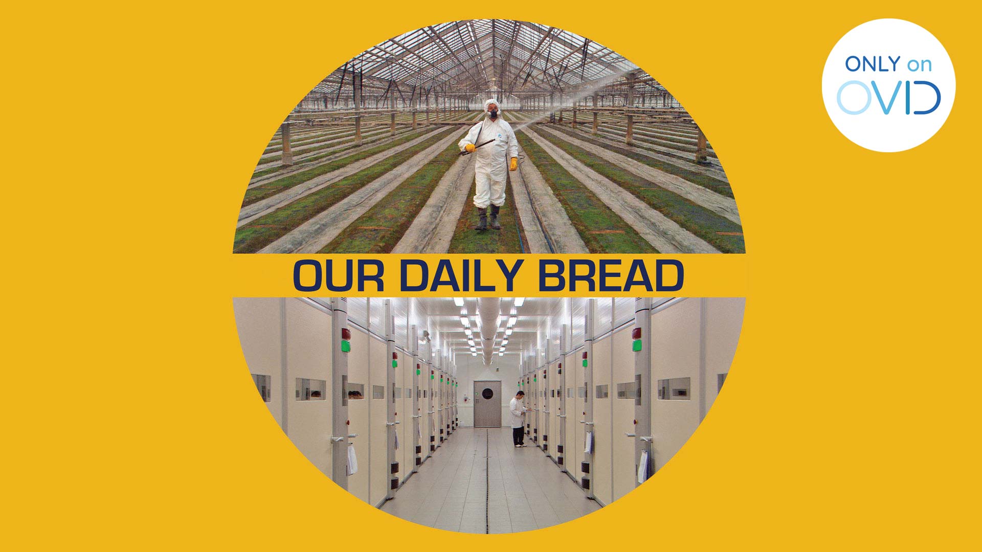 Our Daily Bread