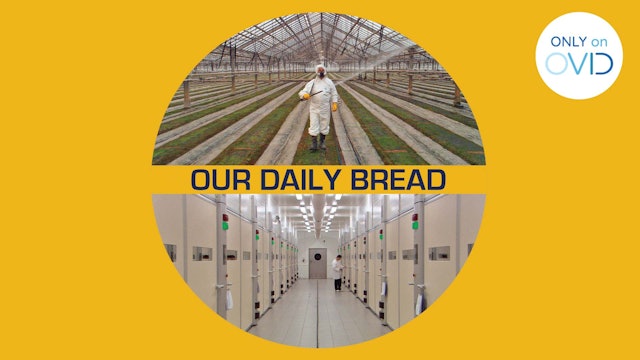 Our Daily Bread