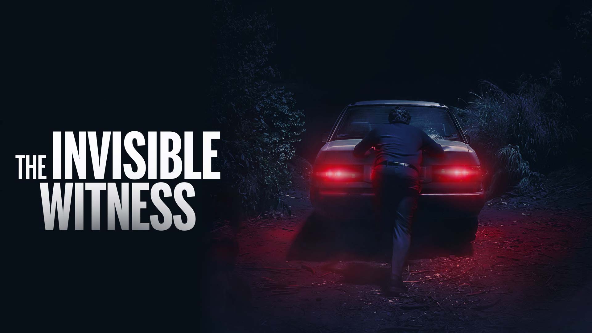 The Invisible Witness