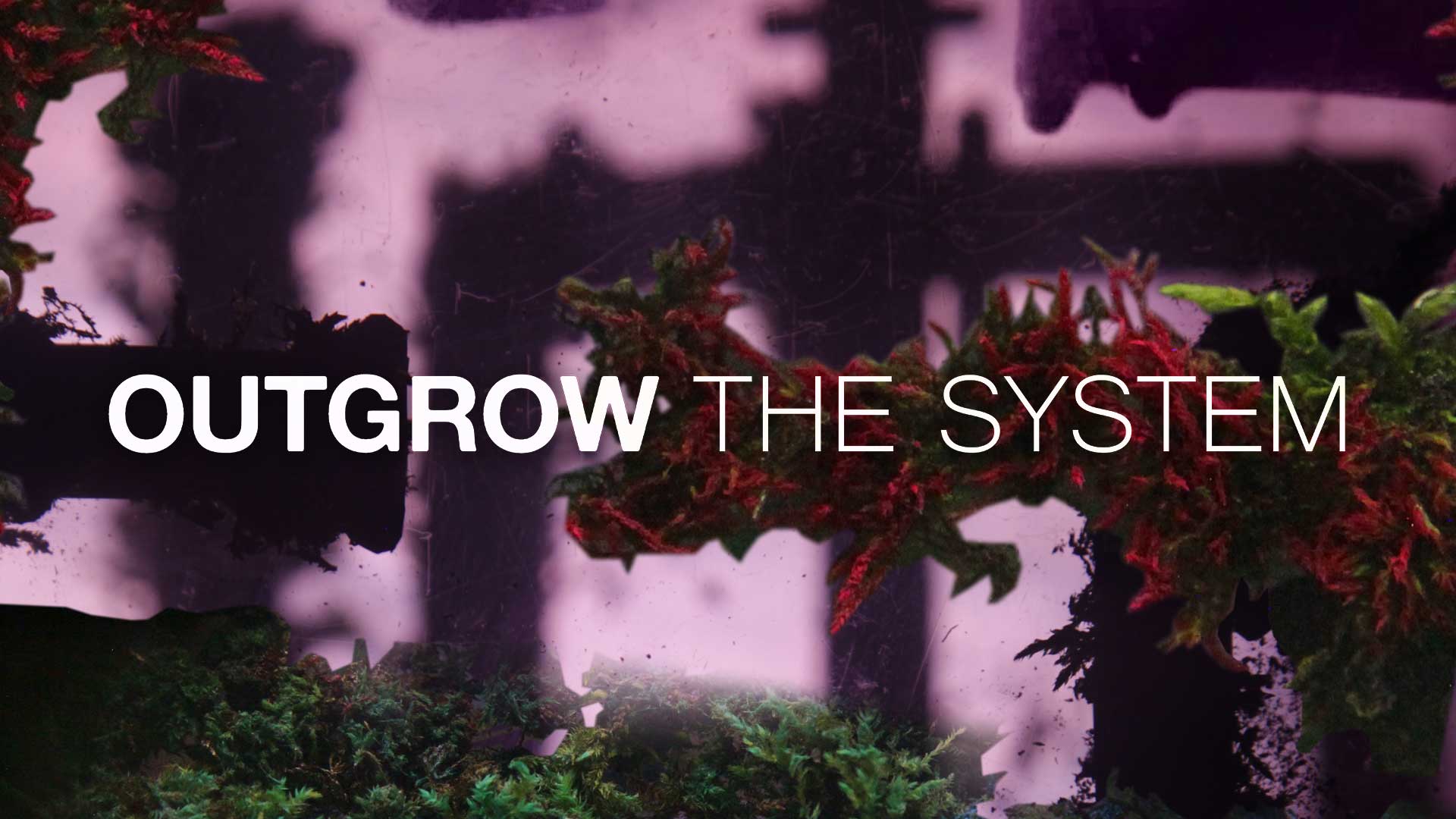 Outgrow the System