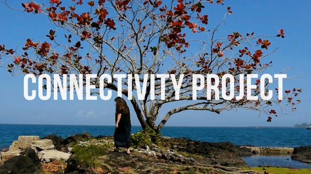 Connectivity Project