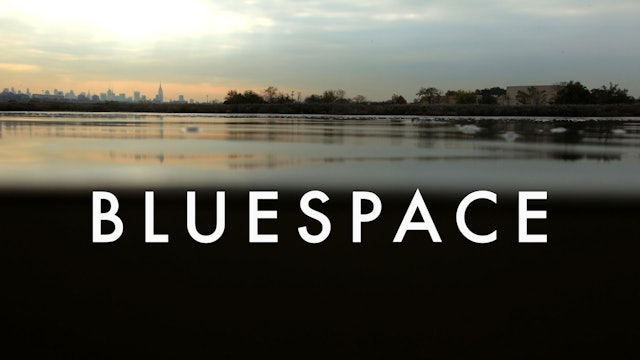 Bluespace