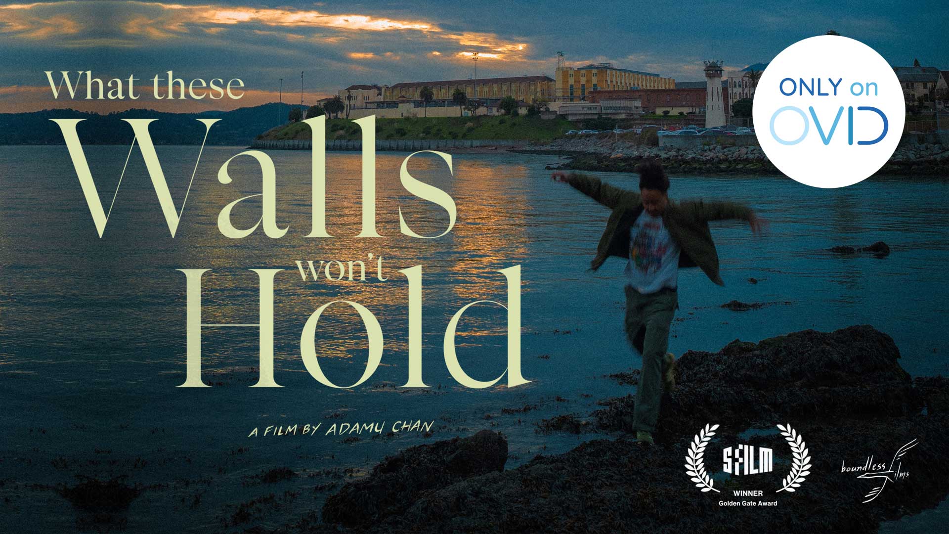 What These Walls Won't Hold