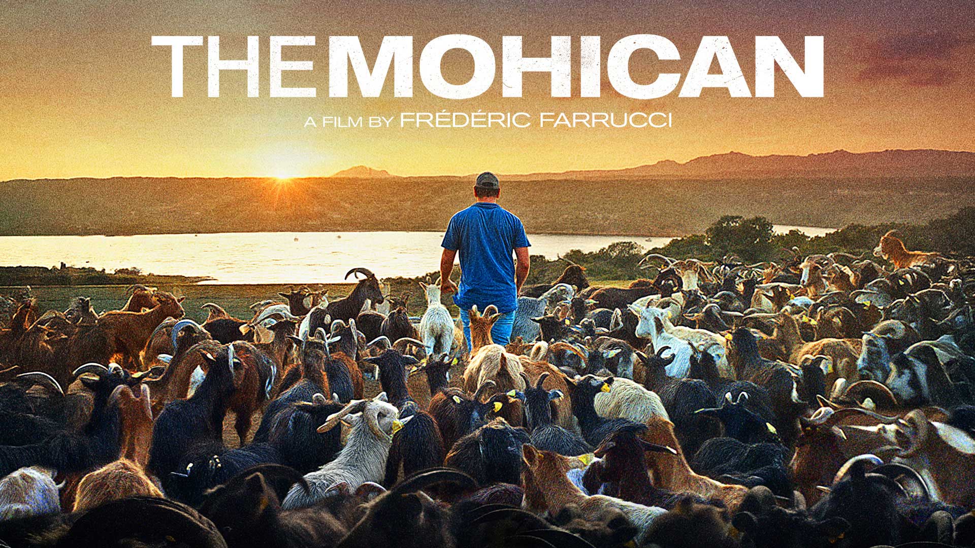 The Mohican