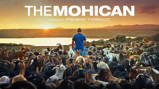 The Mohican