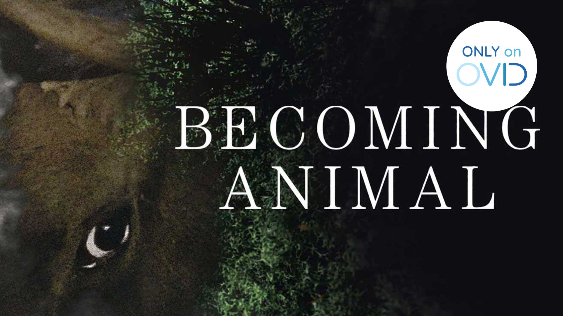 Becoming Animal