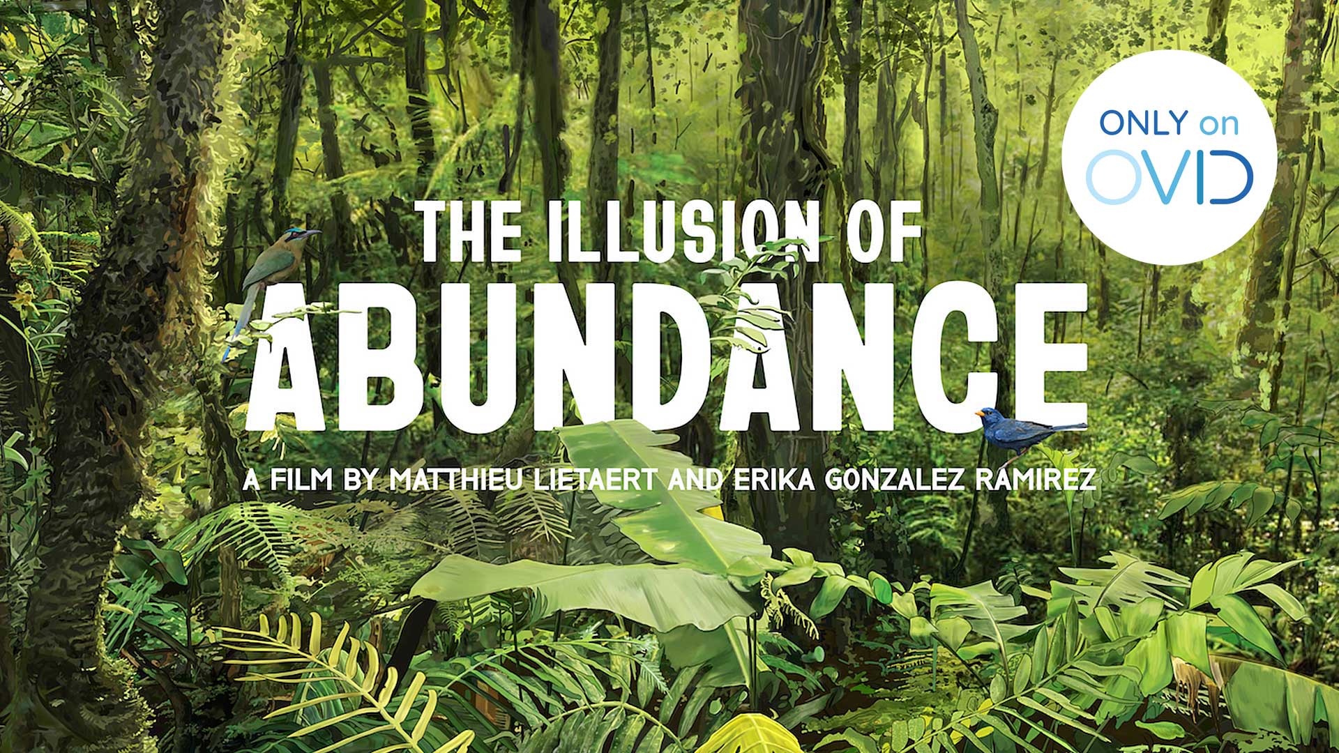 The Illusion of Abundance