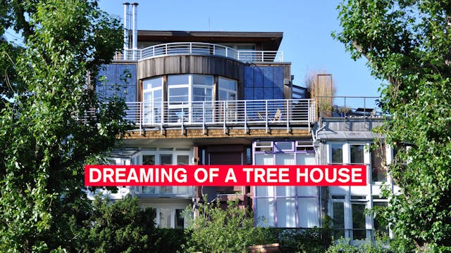 Dreaming of a Tree House