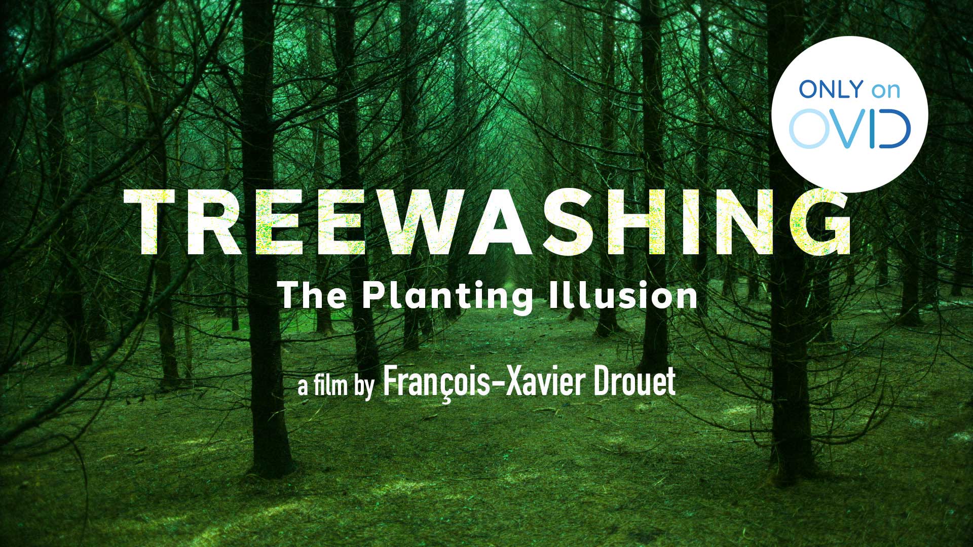 Treewashing: The Planting Illusion