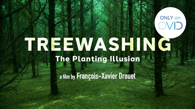 Treewashing: The Planting Illusion