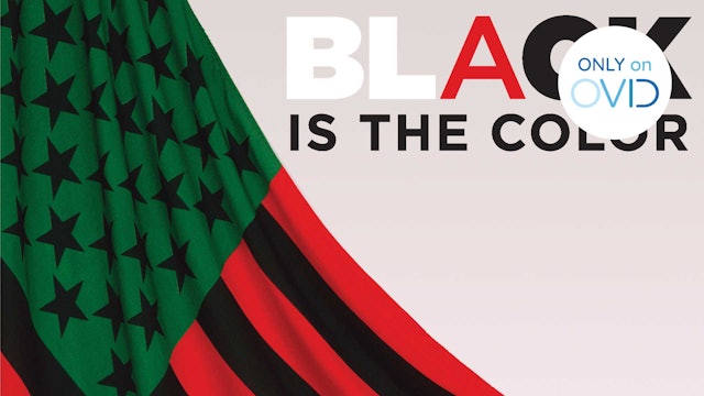 Black Is the Color: A History of African American Art