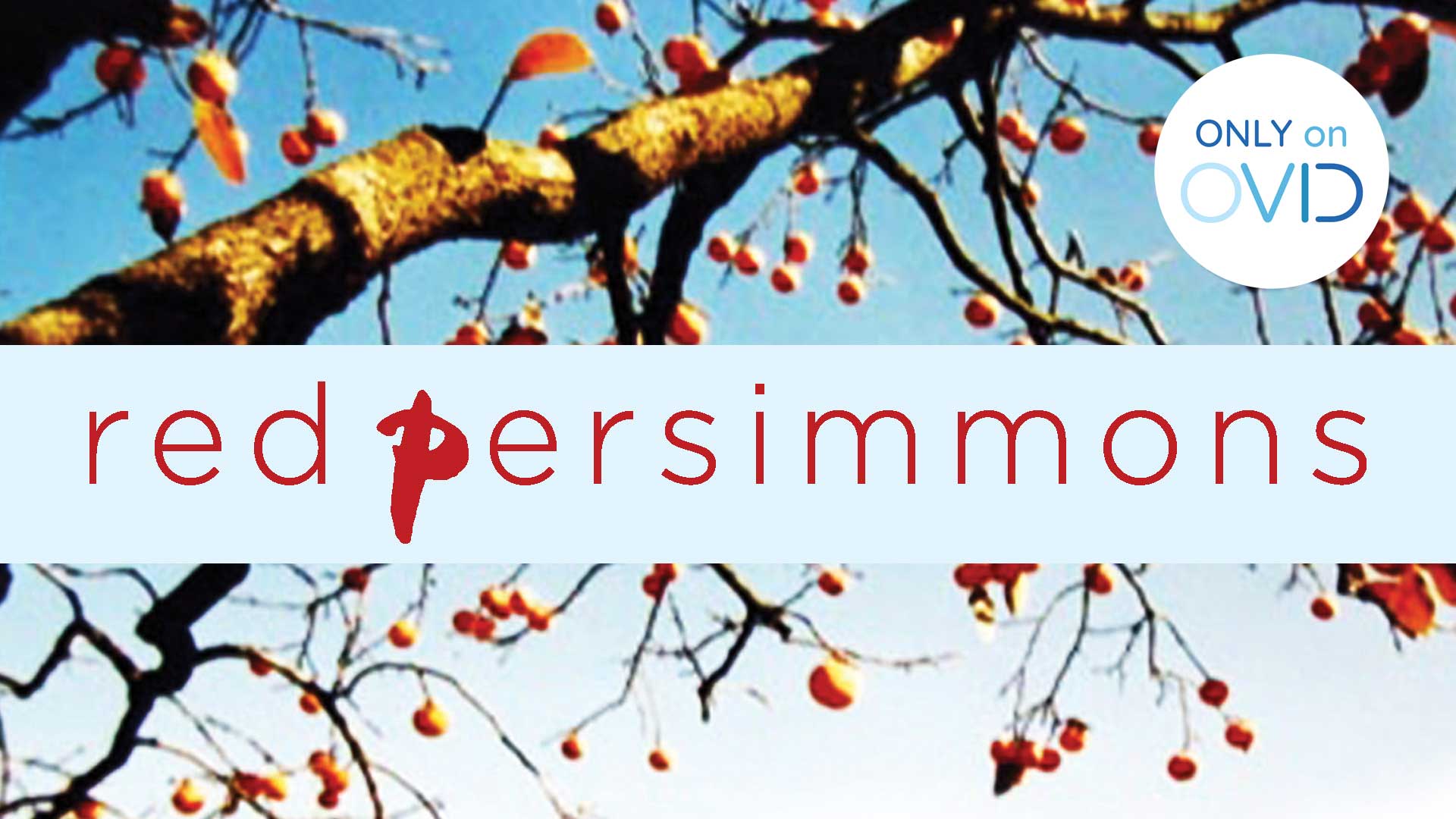 Red Persimmons
