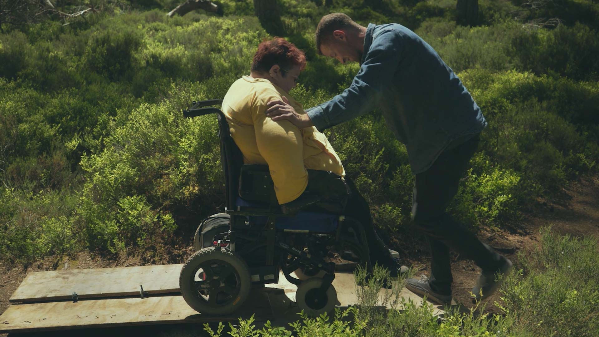 Best of Fest 2 - Forest Floor