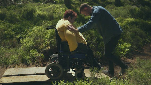 Best of Fest 2 - Forest Floor