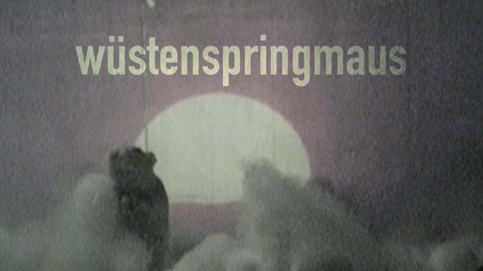 wüstenspringmaus