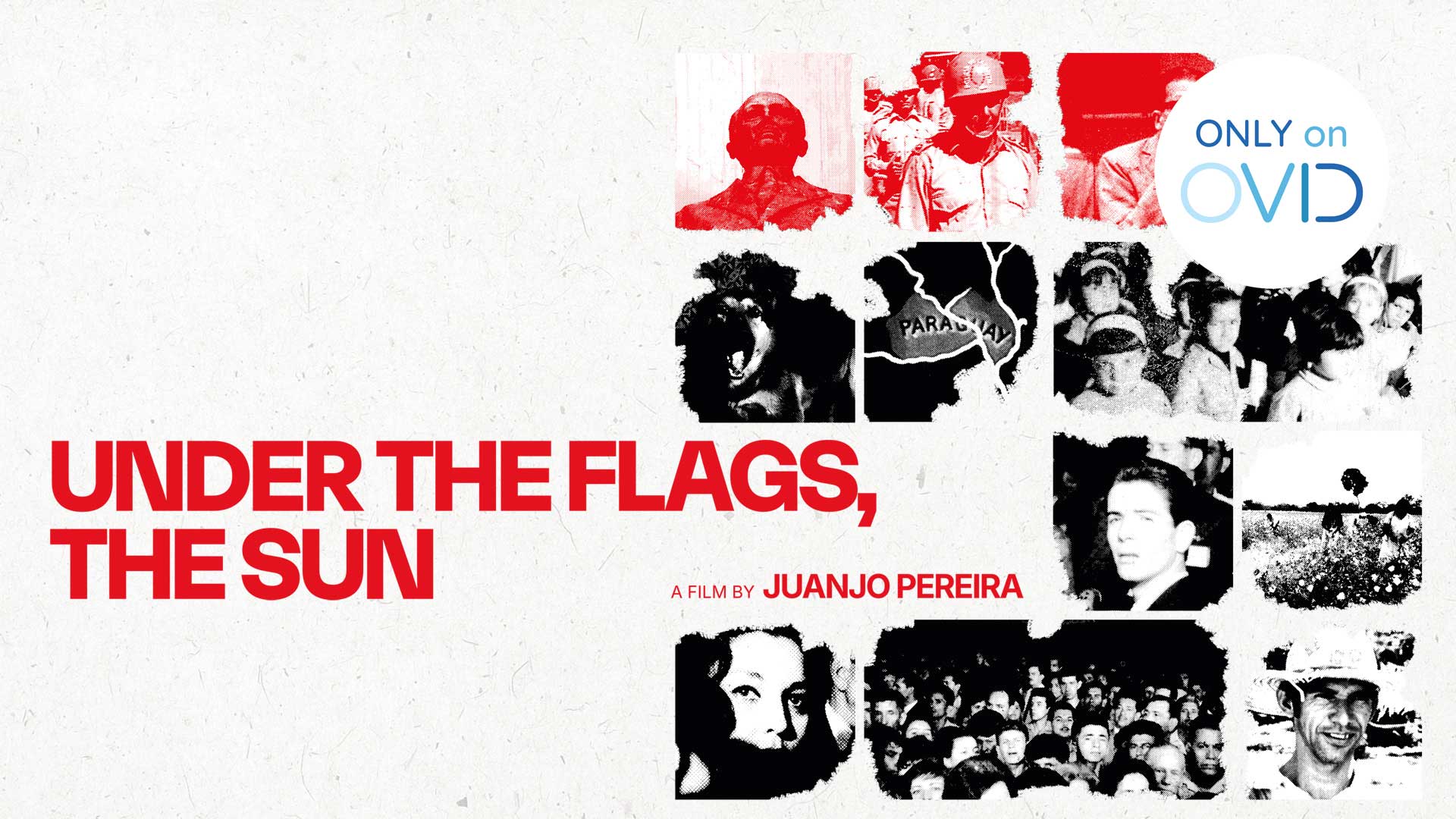 Under the Flags, the Sun