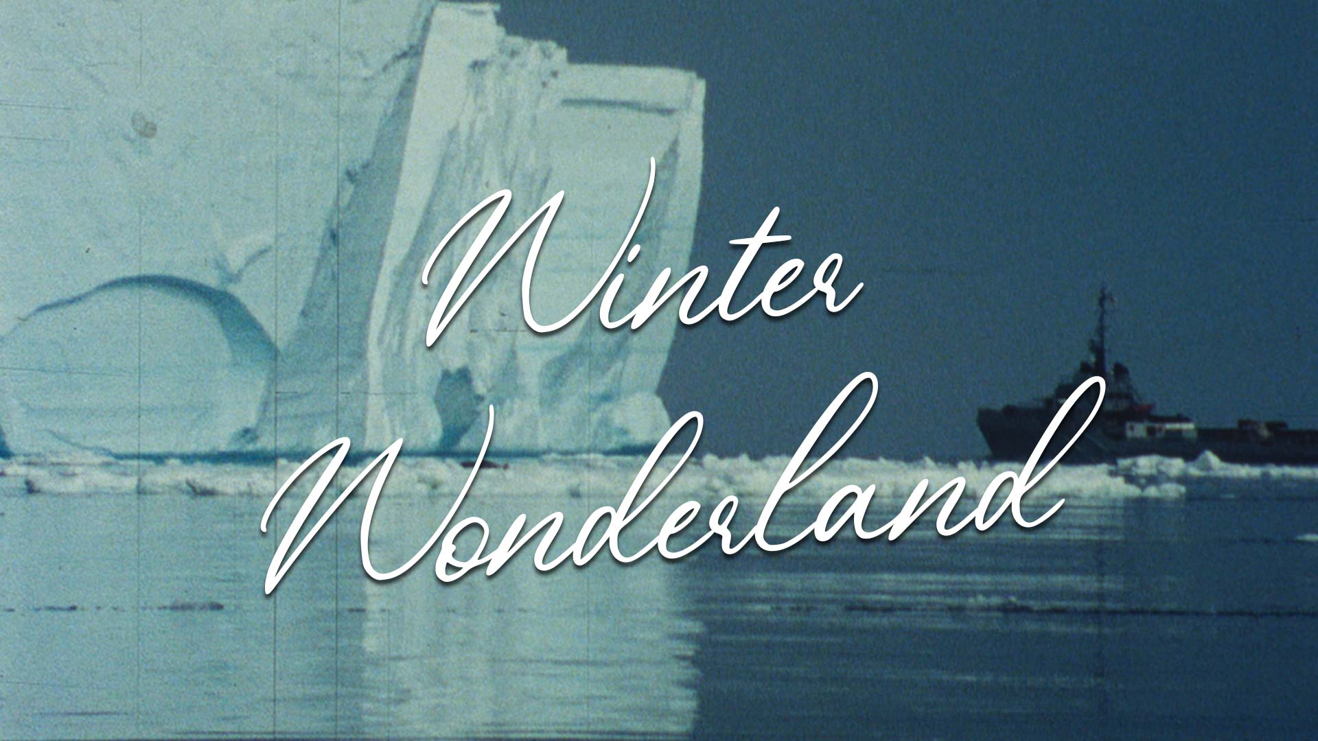 Winter Wonderlands