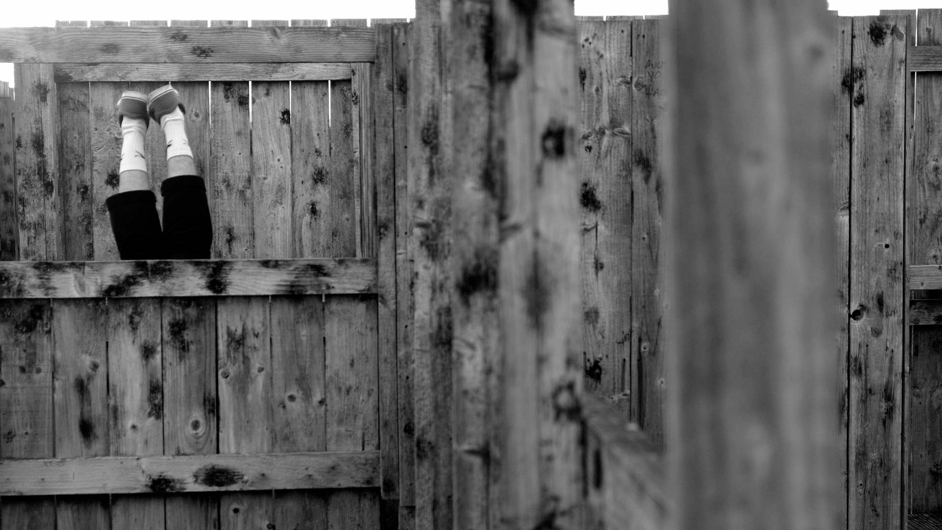 Best of Fest 1 - where the spiders live