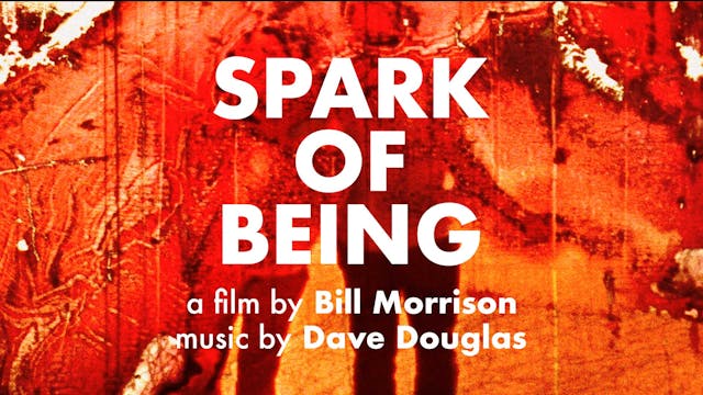 Spark of Being