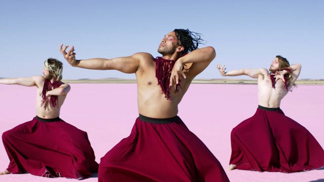 Best of Fest 2 - The Circadian Cycle