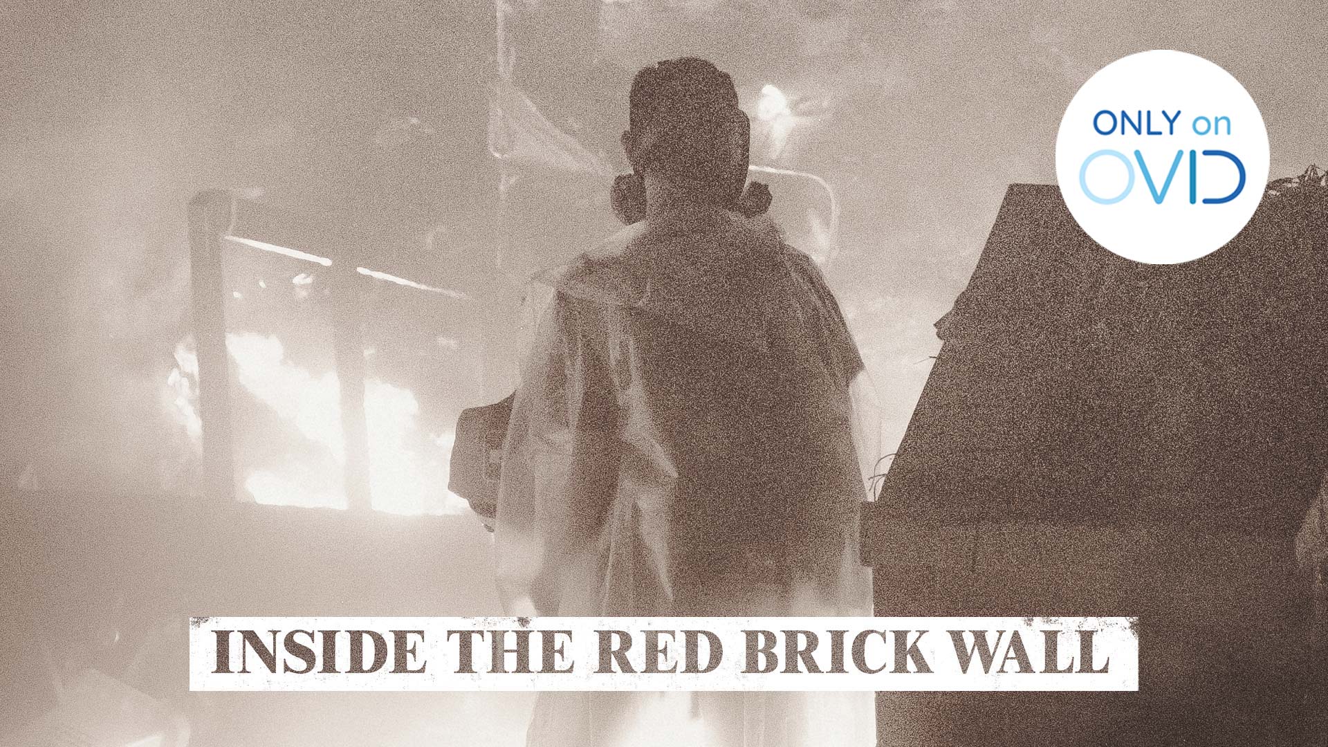 Inside the Red Brick Wall