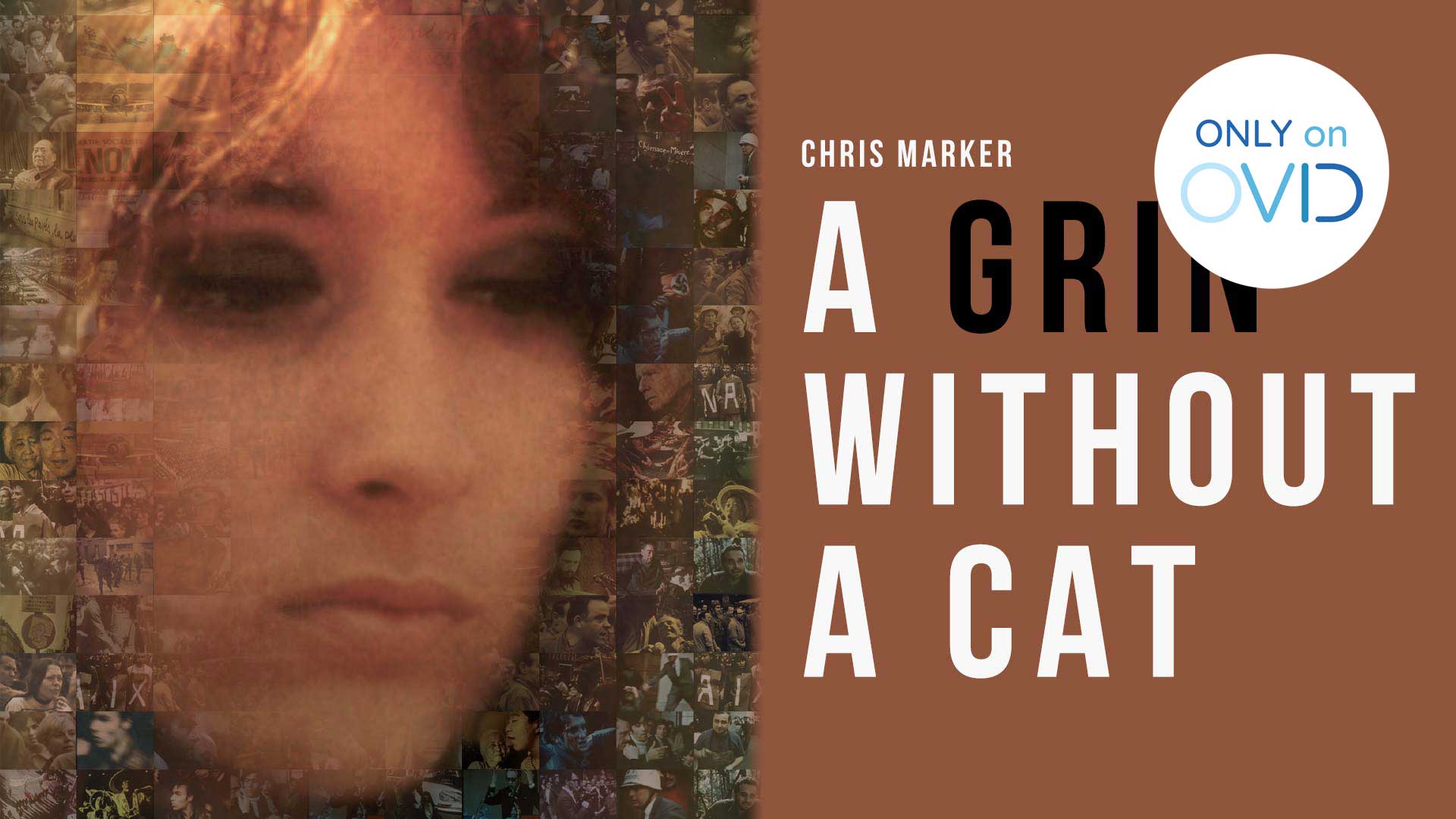 A Grin Without a Cat (Chris Marker)
