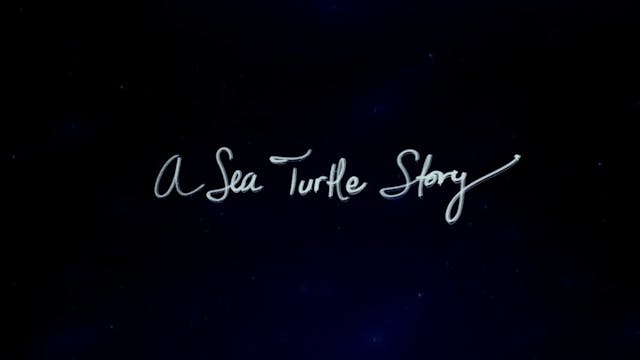 A Sea Turtle Story