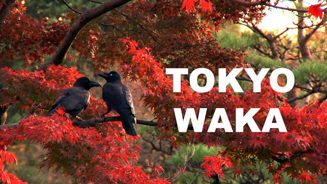 Tokyo Waka
