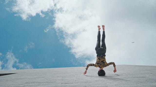 Best of Fest 2 - Dusk