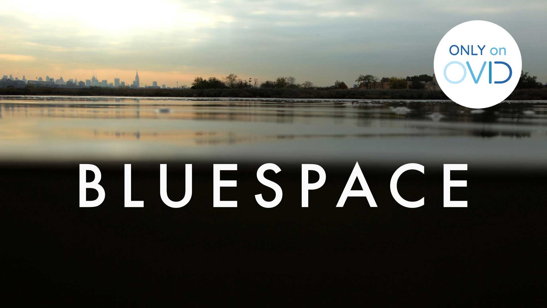 Bluespace