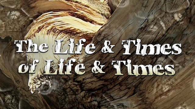 The Life and Times of Life and Times