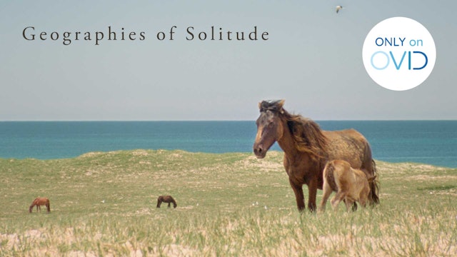Geographies of Solitude