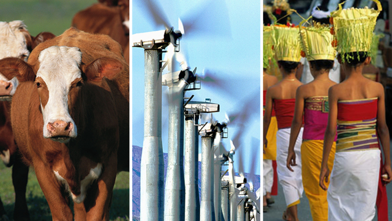 The Ecological Footprint