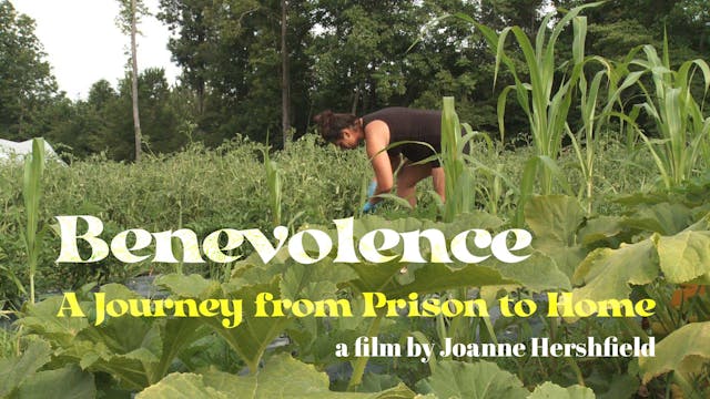 Benevolence, A Journey From Prison to...